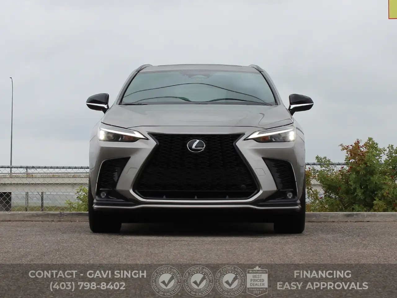 Lexus NX - Image 6