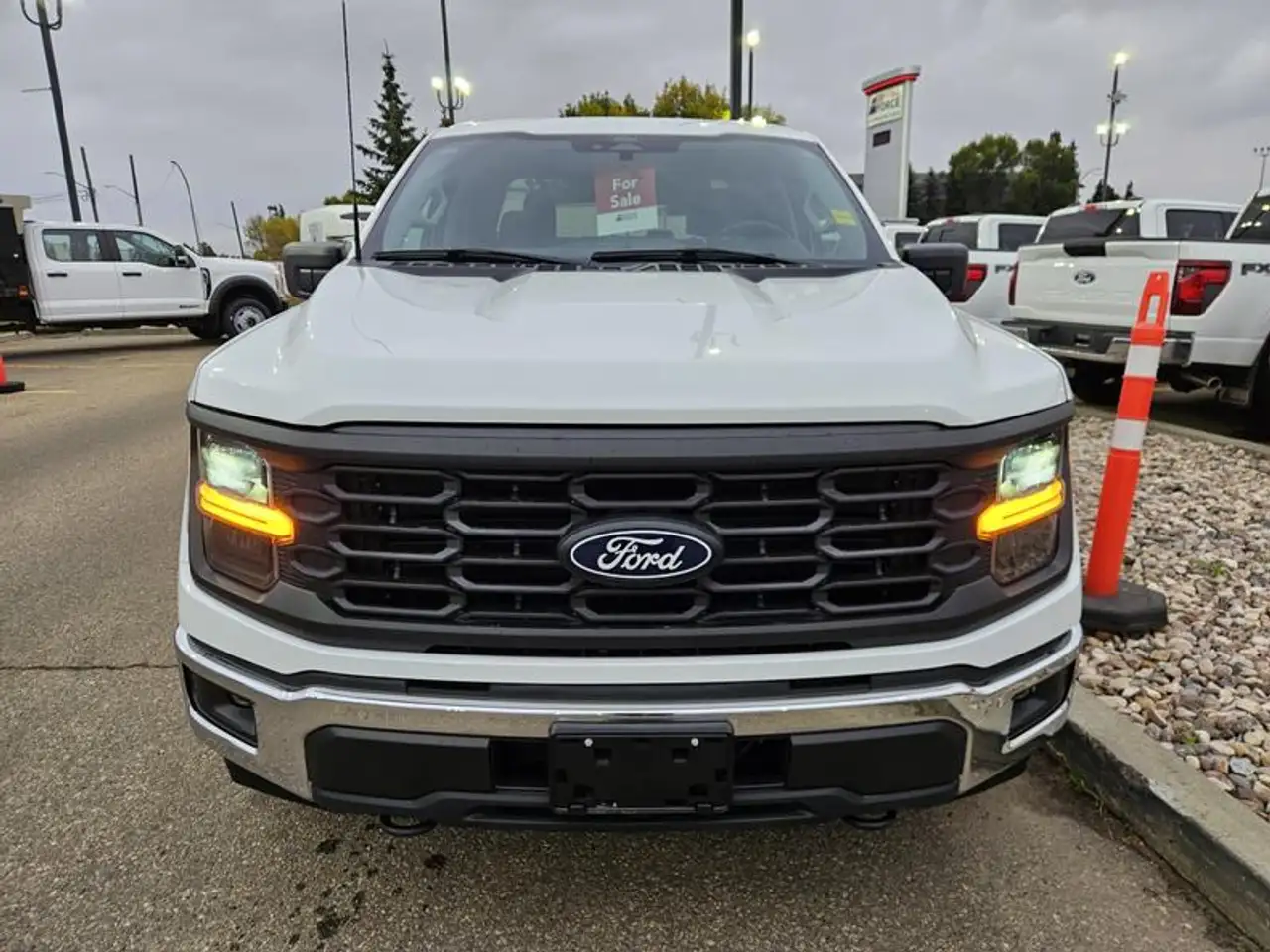 Ford F-150 - Image 9