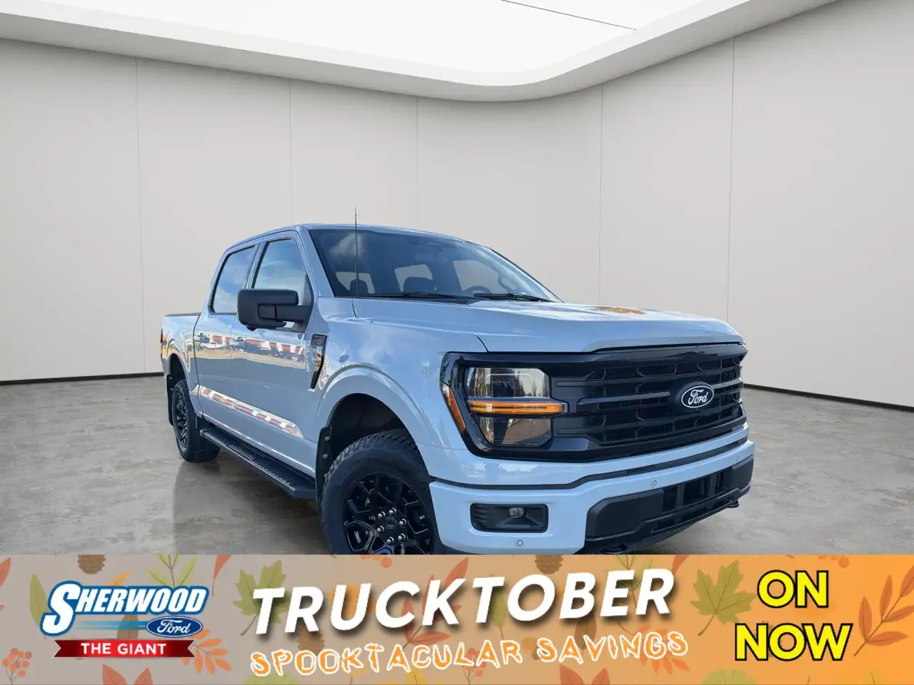 Ford F-150 - Image 1
