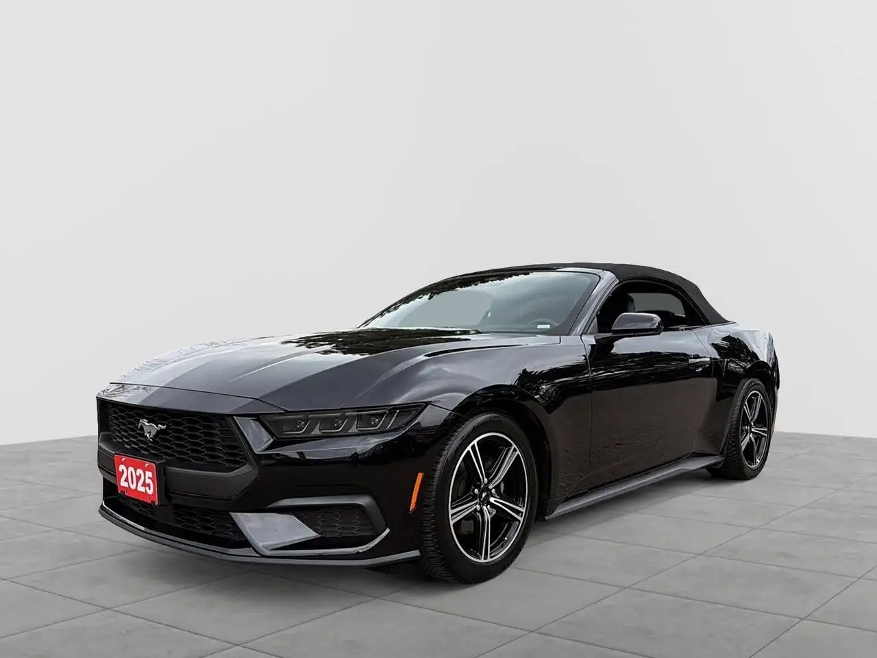 Ford Mustang - Image 5