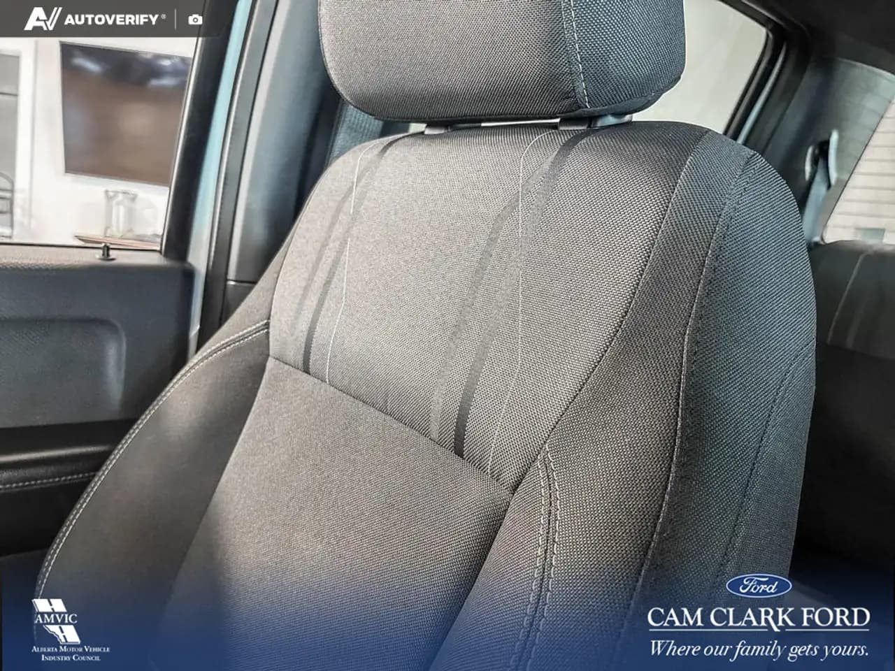 Ford F-150 - Image 19