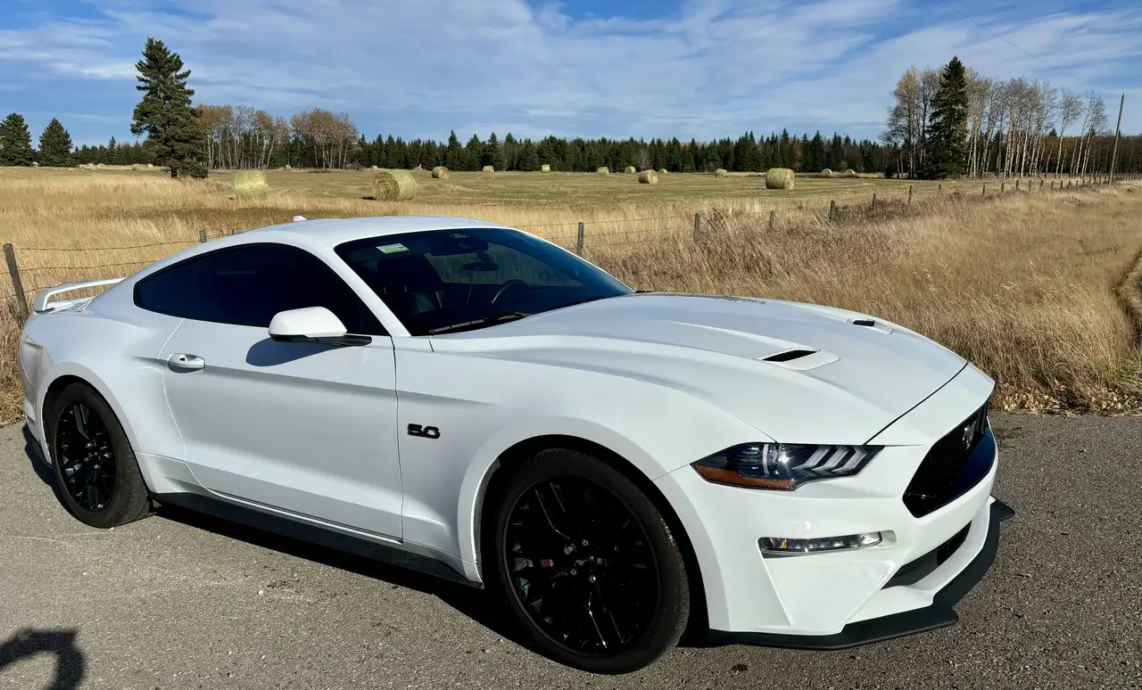 Ford Mustang - Image 6