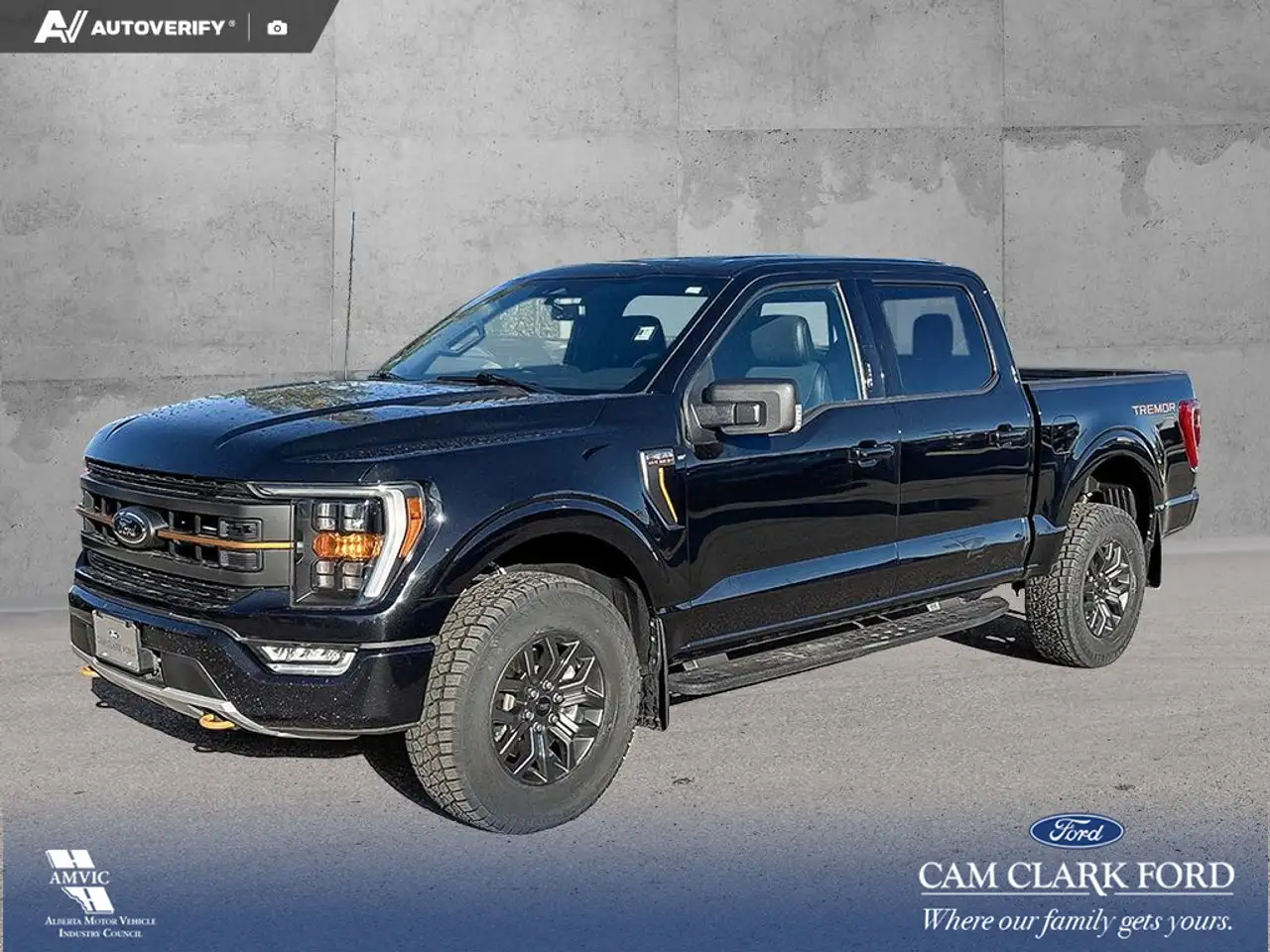 Ford F-150 - Image 1