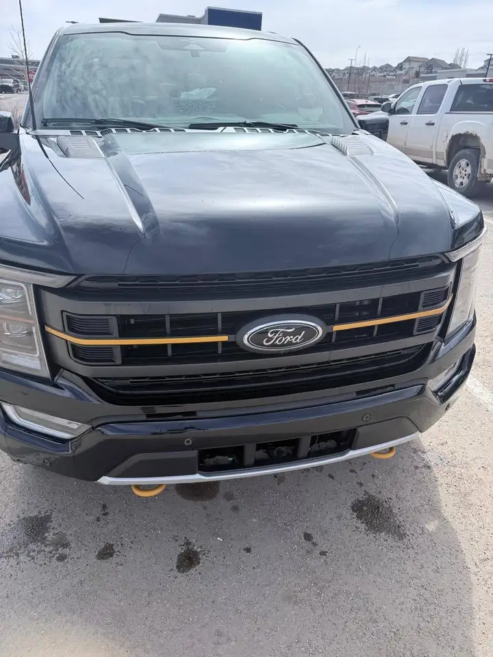 Ford F-150 - Image 10
