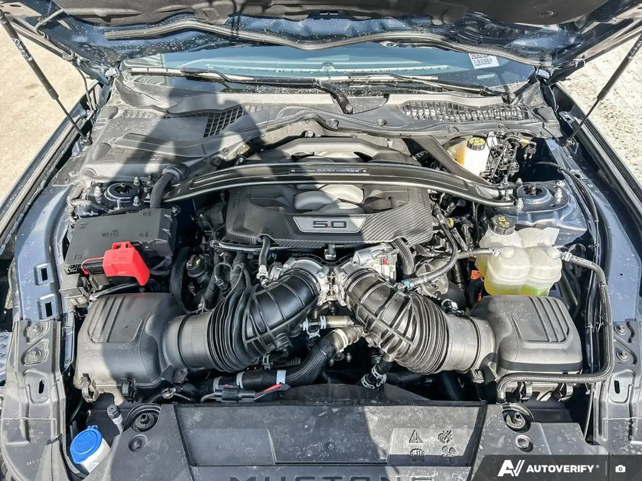 Ford Mustang - Image 12