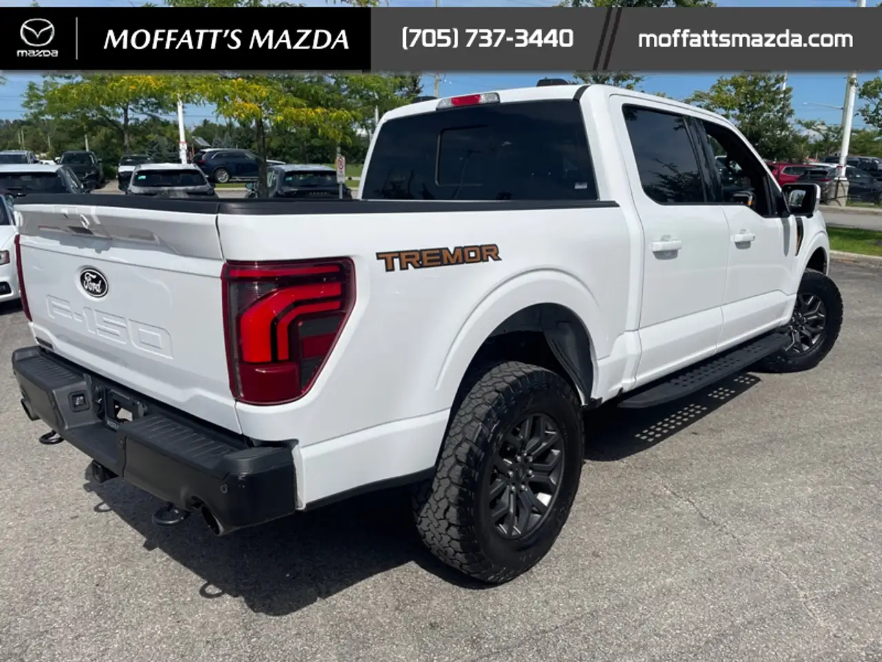 Ford F-150 - Image 9