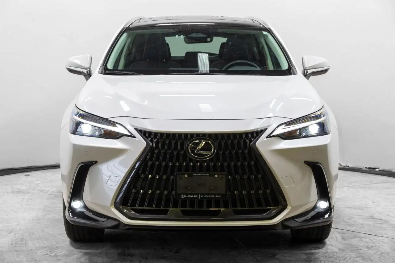 Lexus NX 350h - Image 3