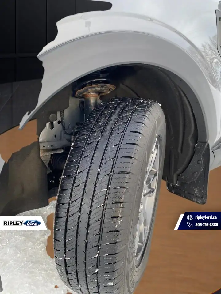 Ford Bronco Sport - Image 12