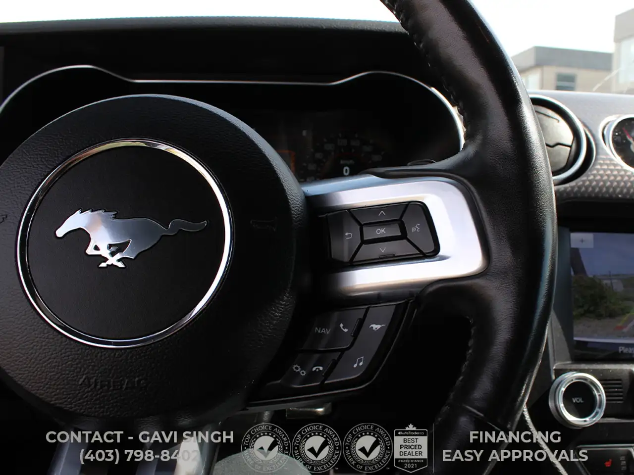 Ford Mustang - Image 15
