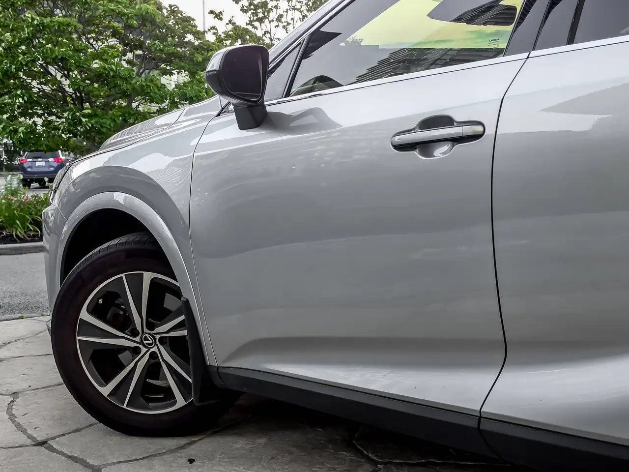 Lexus RX - Image 6