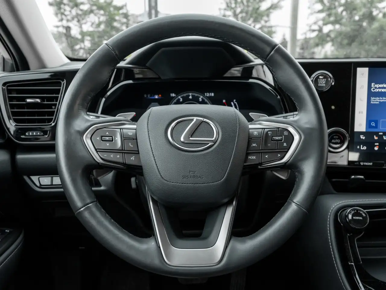 Lexus NX - Image 10