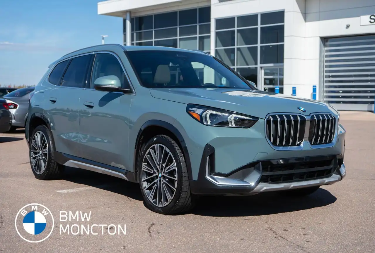 BMW X1 - Image 1