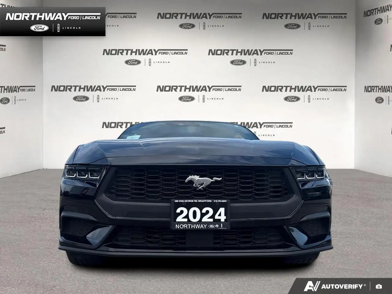 Ford Mustang - Image 2