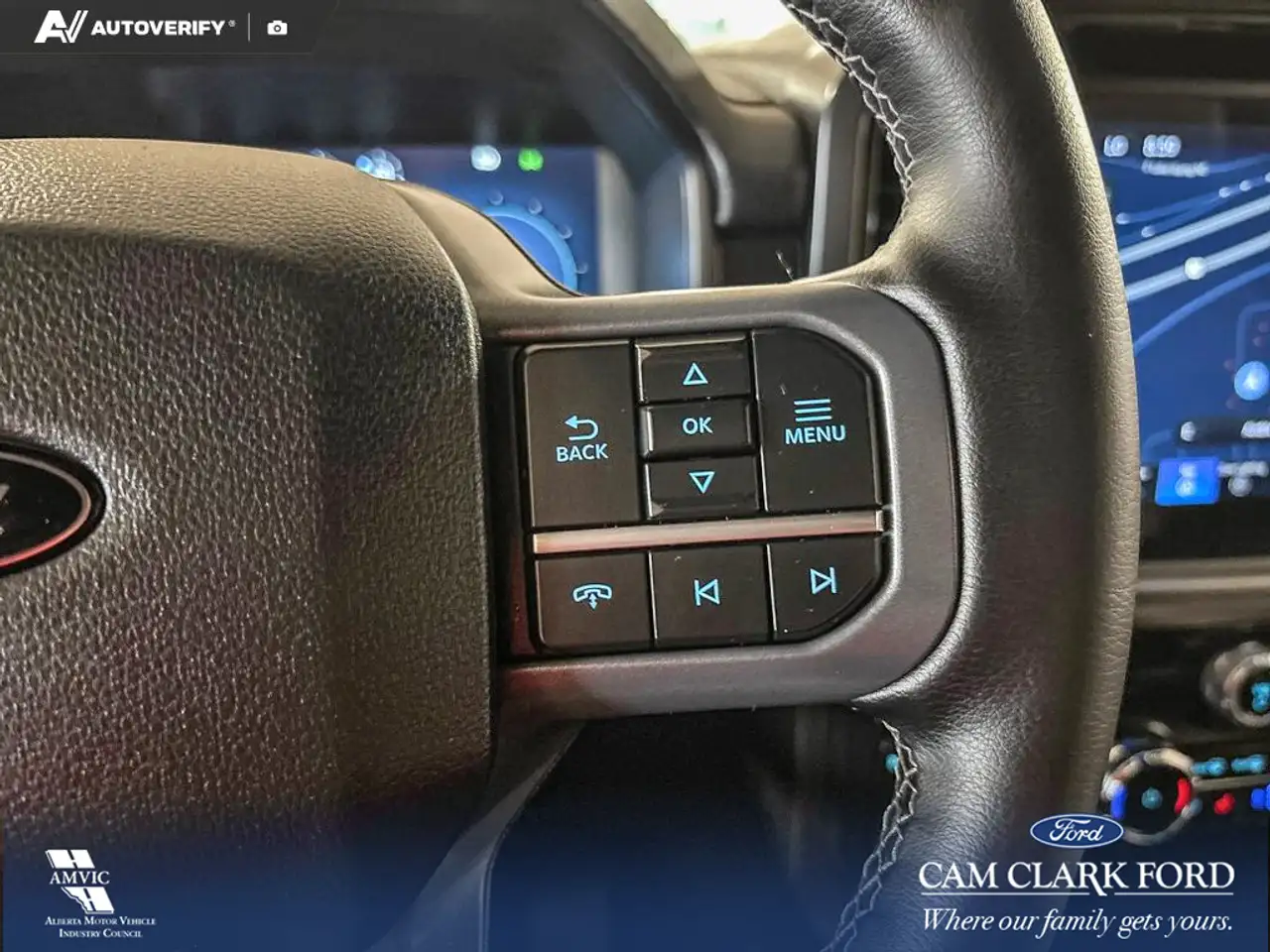 Ford F-150 - Image 15
