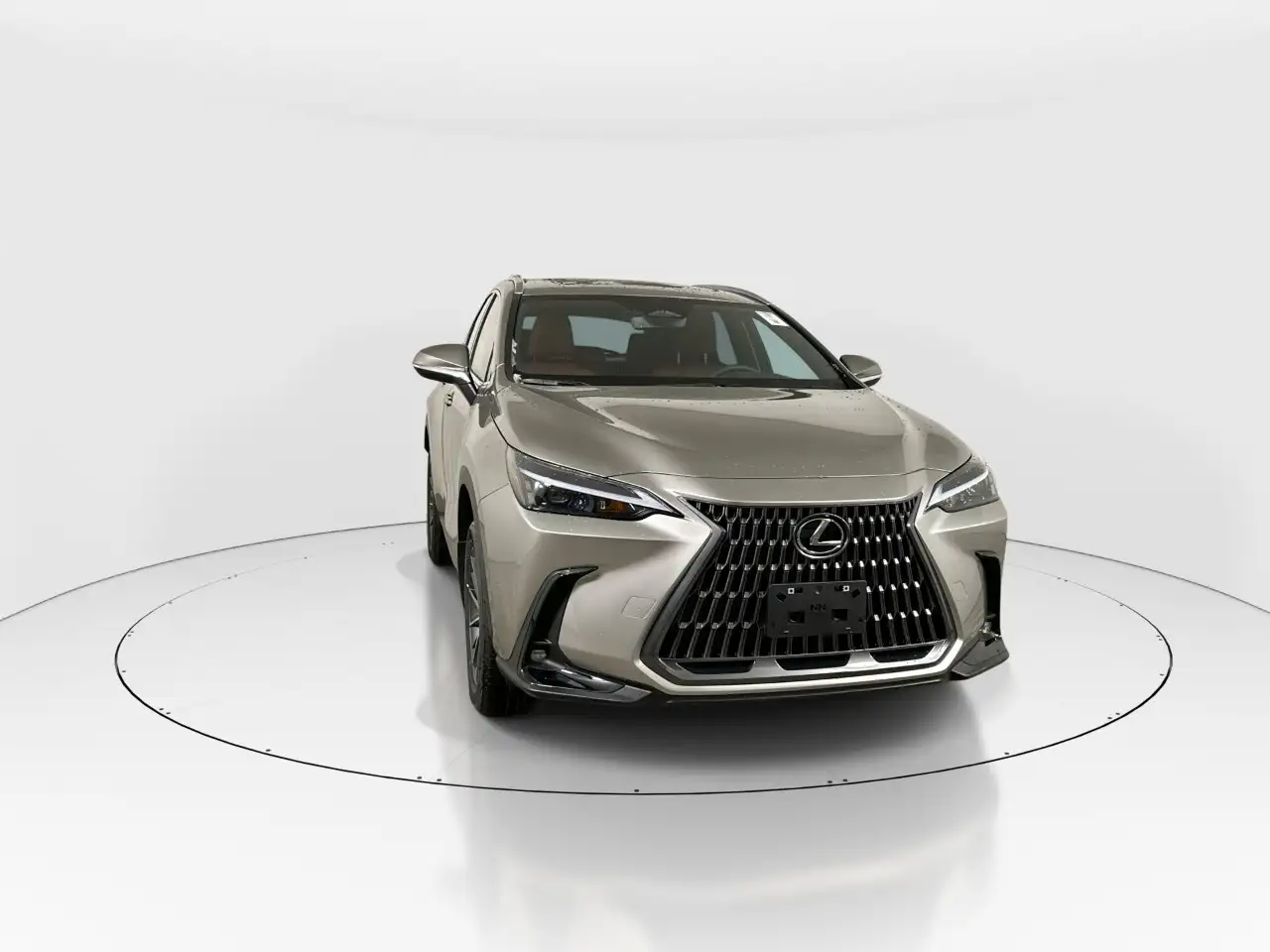 Lexus NX - Image 2