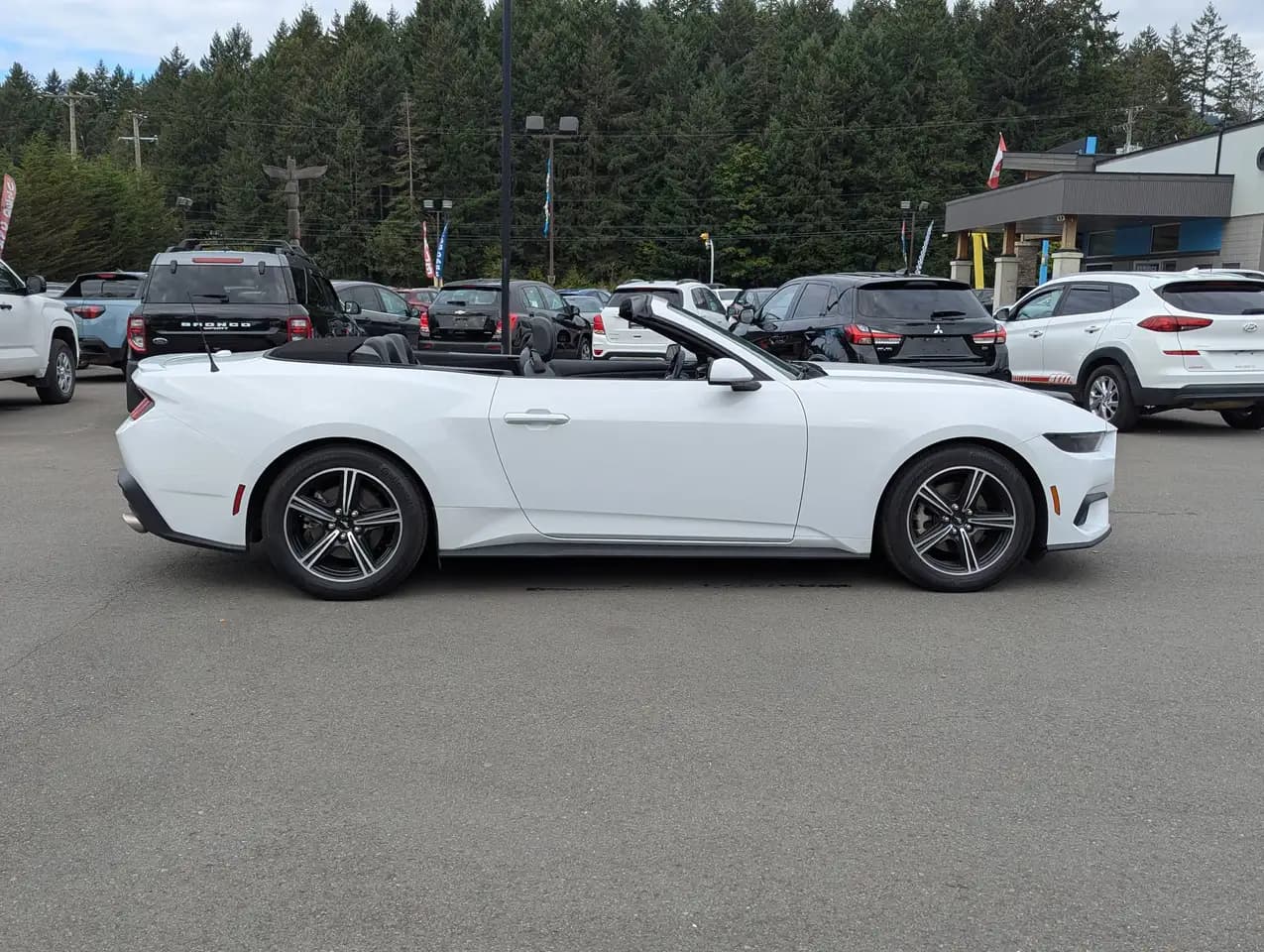 Ford Mustang - Image 5