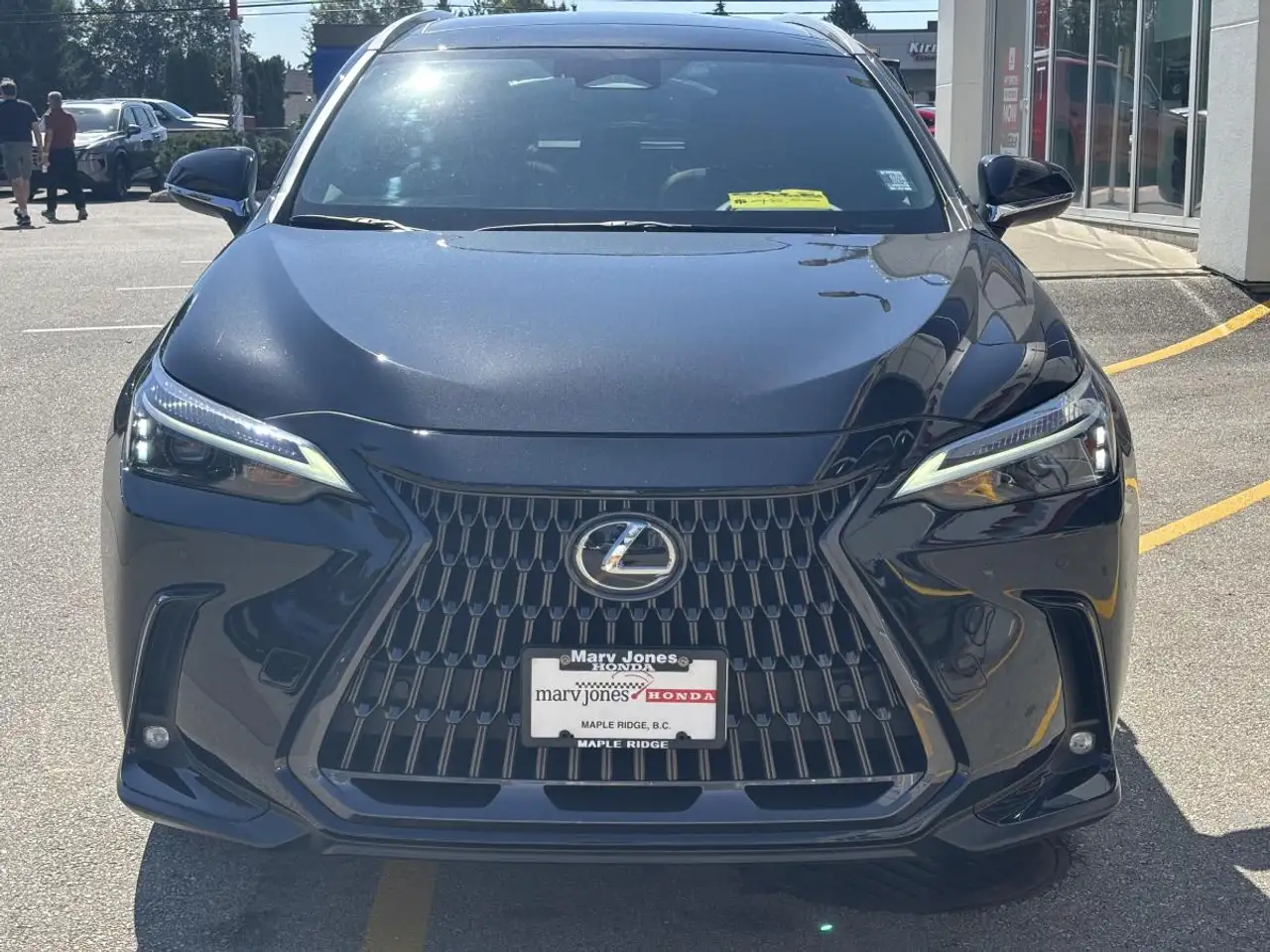 Lexus NX - Image 2