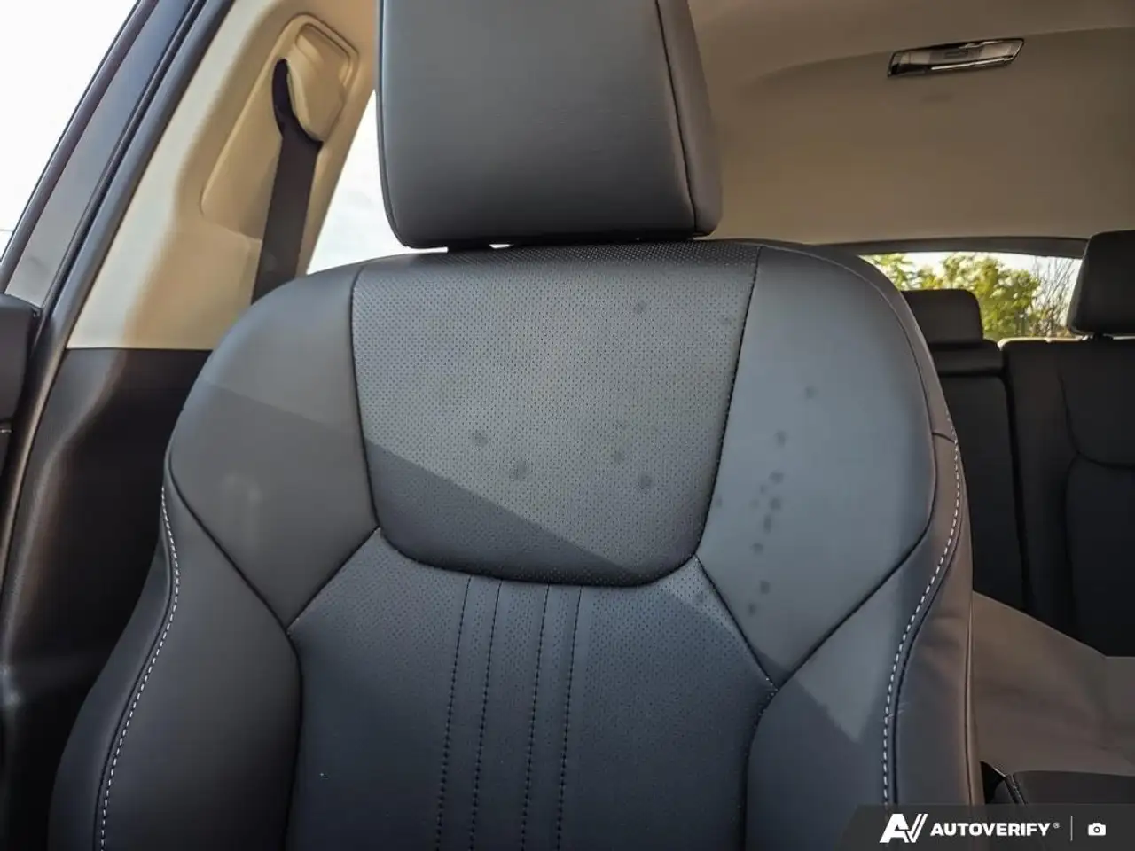 Lexus NX - Image 20
