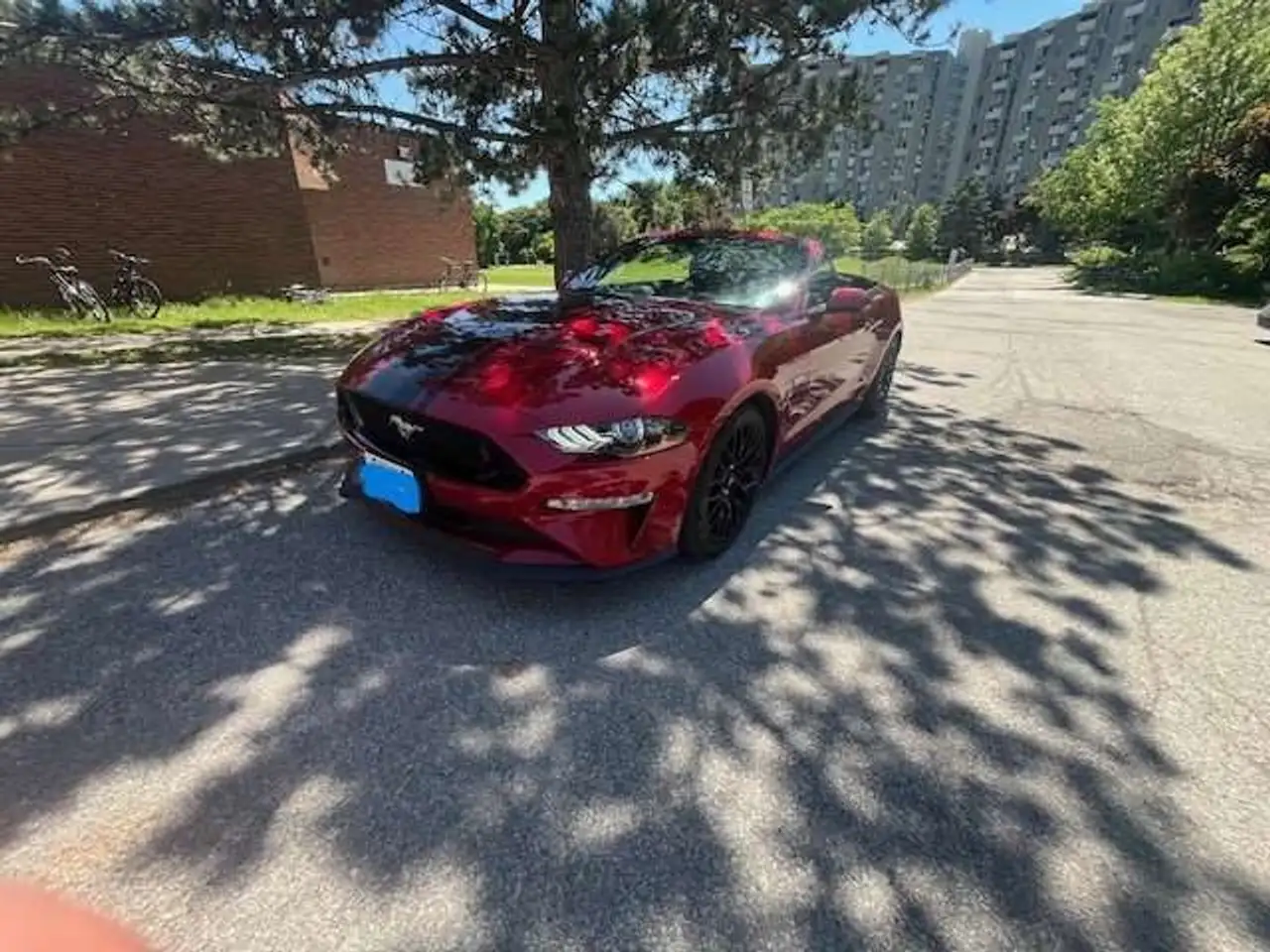 Ford Mustang - Image 6