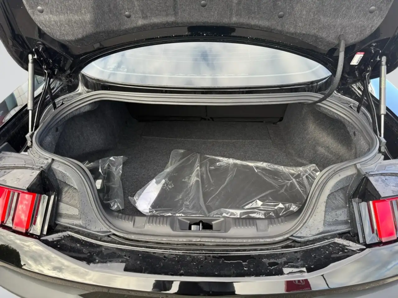Ford Mustang - Image 11