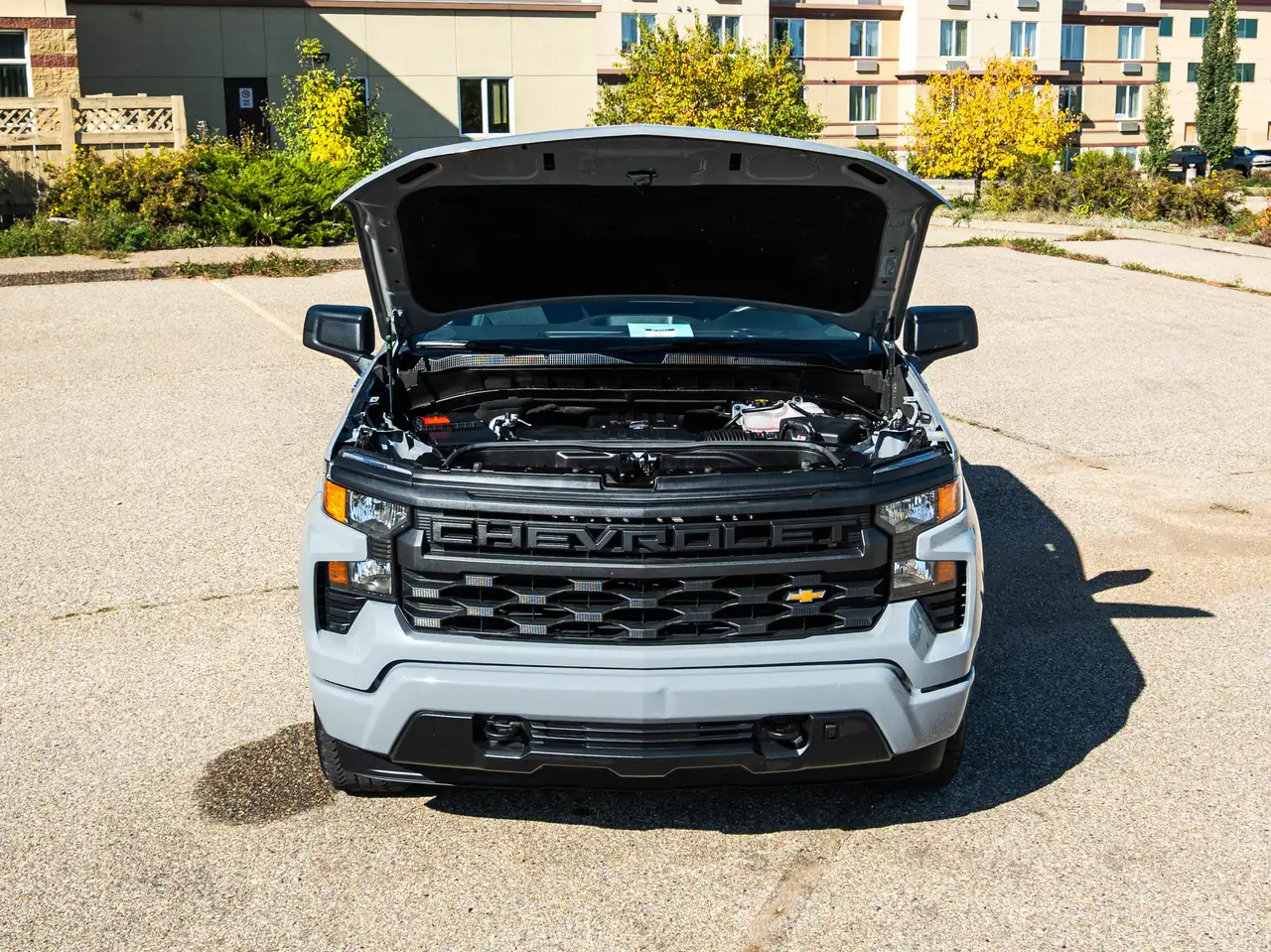 Chevrolet Silverado 1500 - Image 10