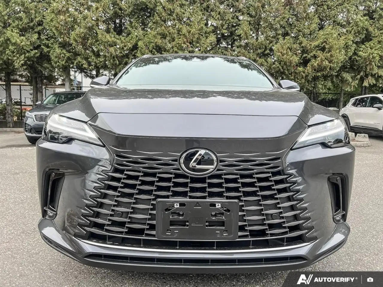 Lexus RX - Image 9