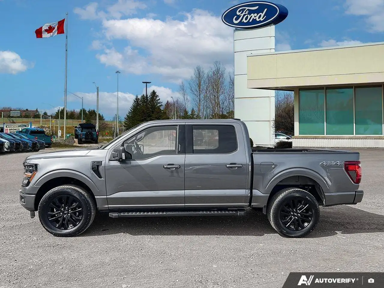 Ford F-150 - Image 4