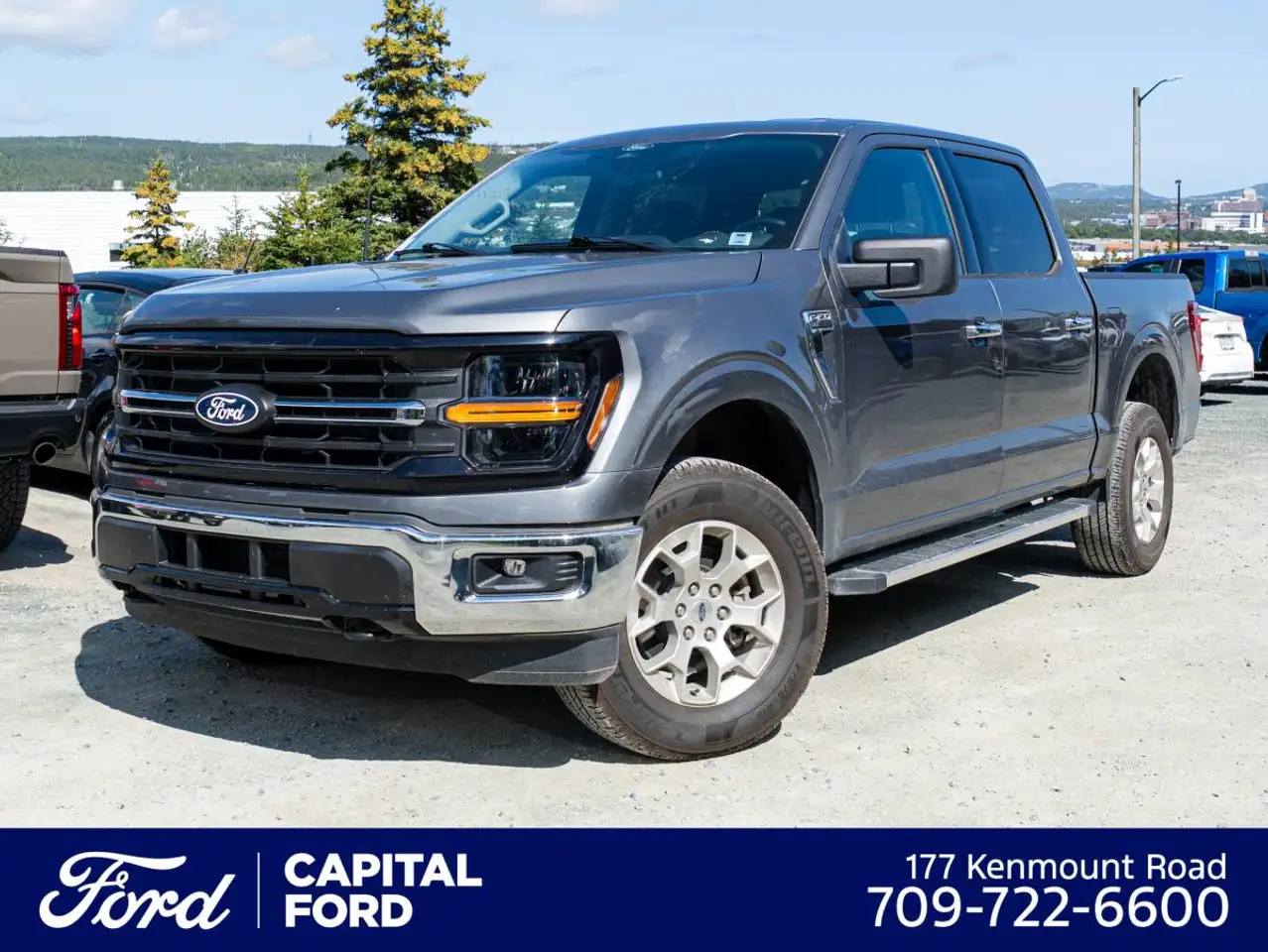 Ford F-150 - Image 1