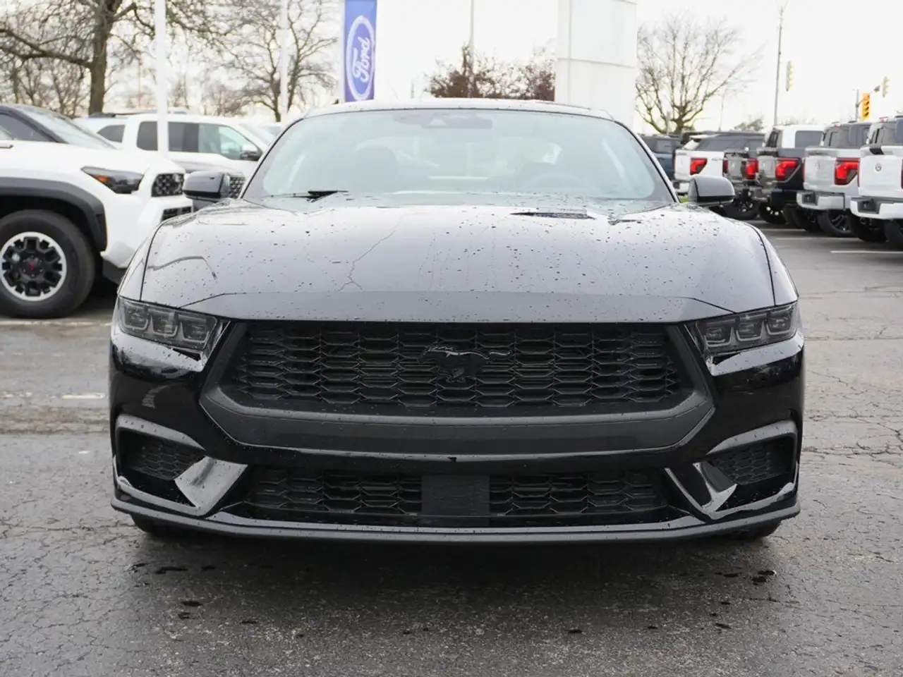 Ford Mustang - Image 2