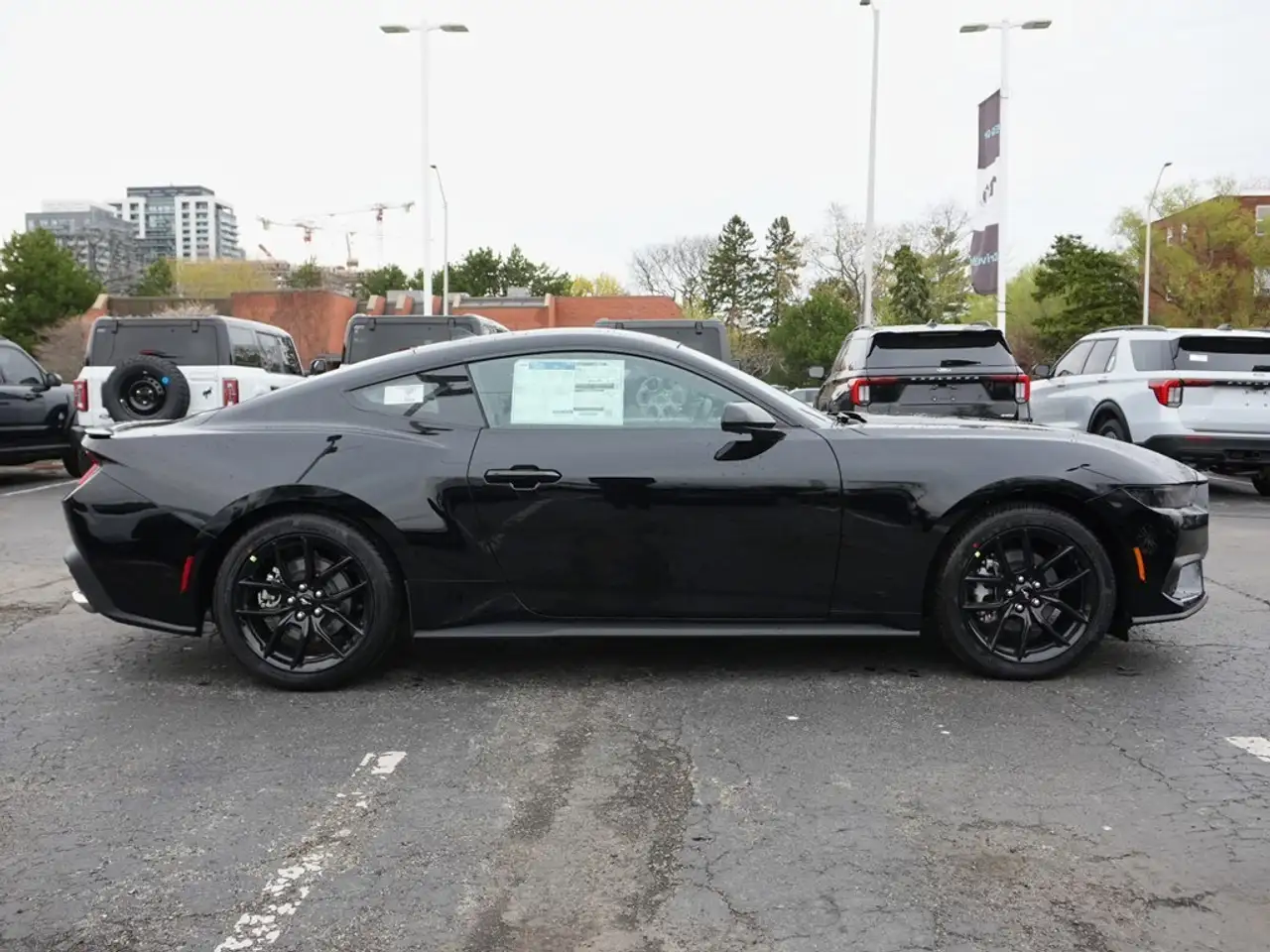 Ford Mustang - Image 3
