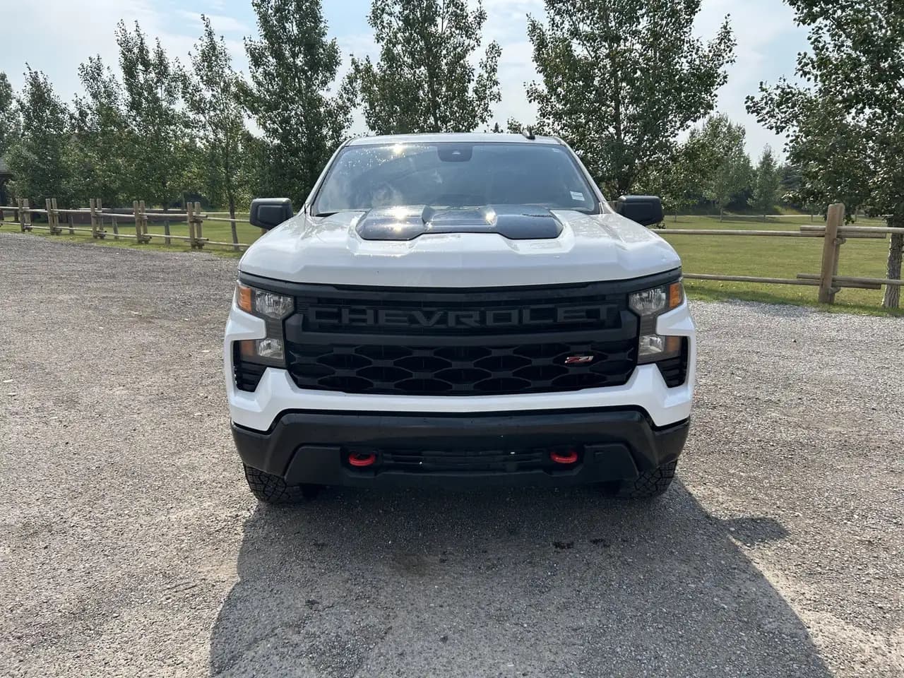 Chevrolet Silverado 1500 - Image 10