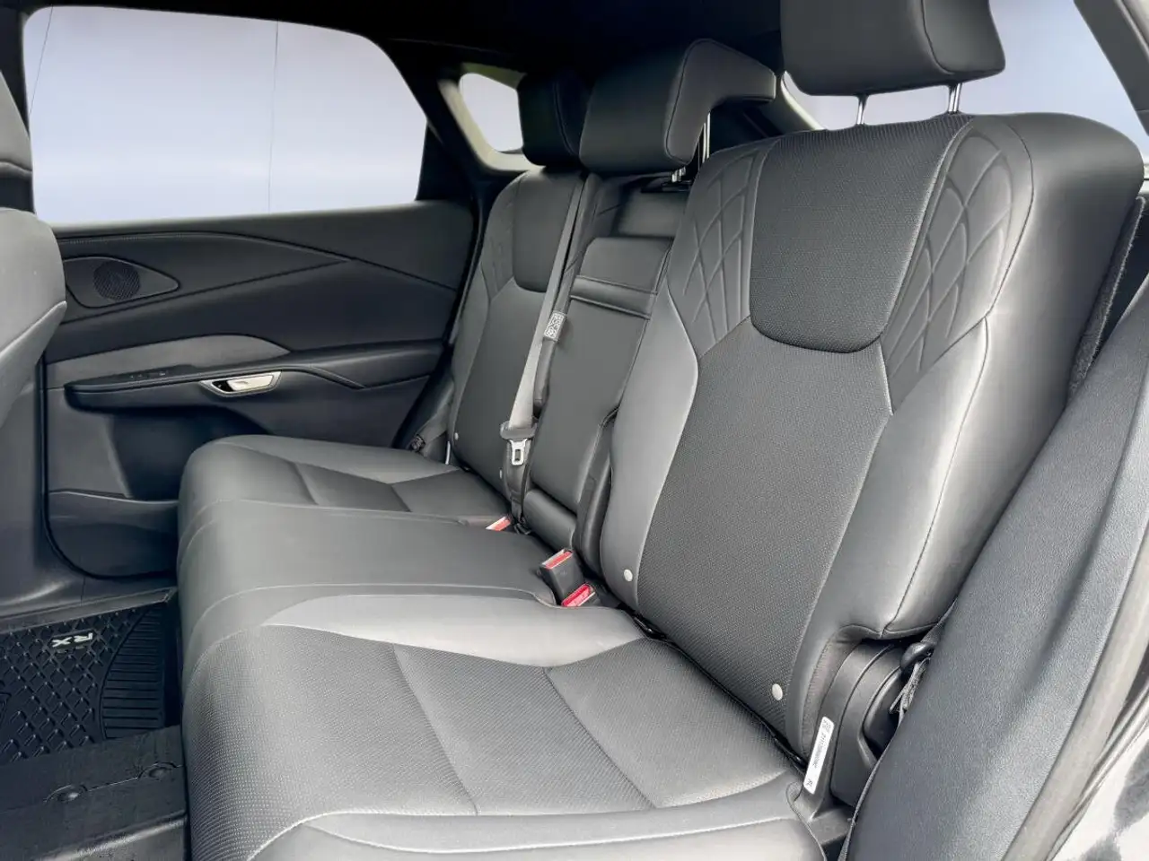 Lexus RX - Image 27