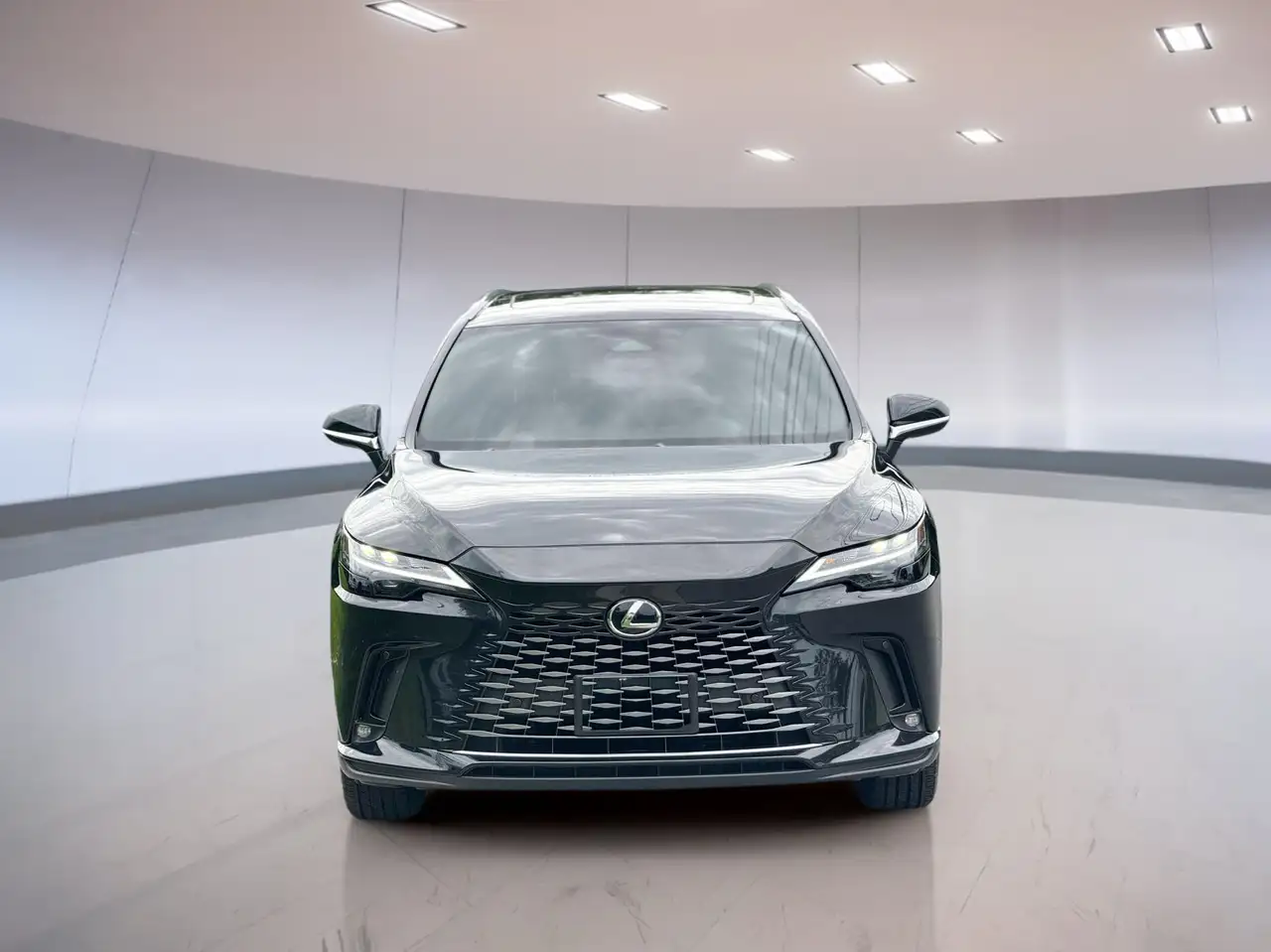 Lexus RX - Image 2