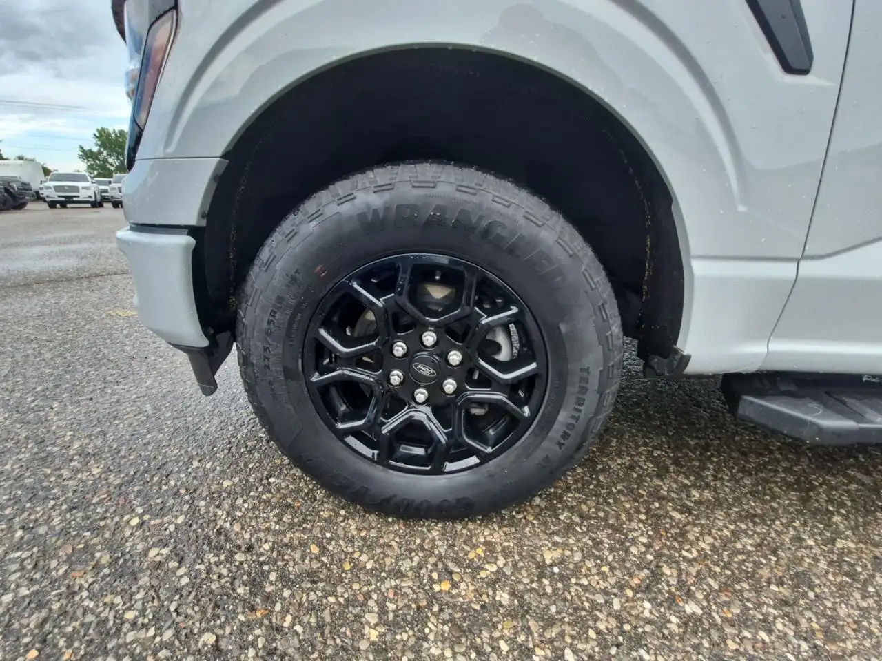 Ford F-150 - Image 9