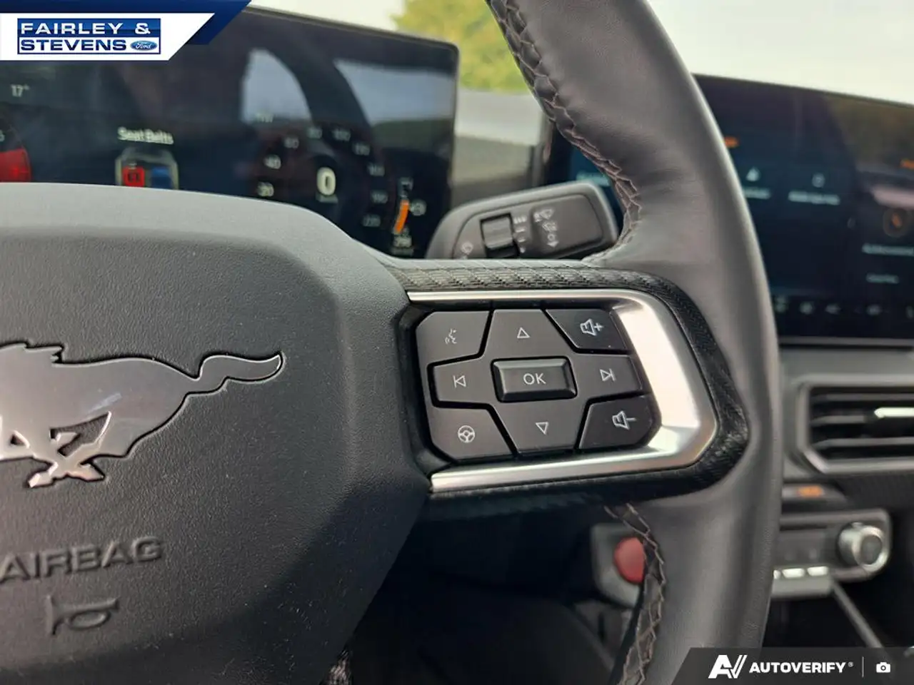 Ford Mustang - Image 15