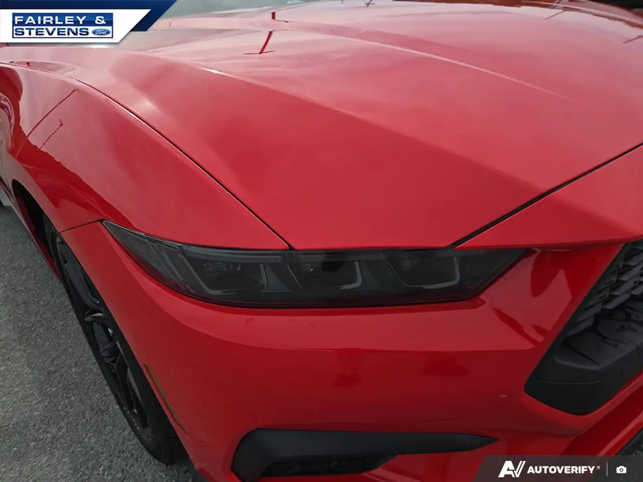 Ford Mustang - Image 8