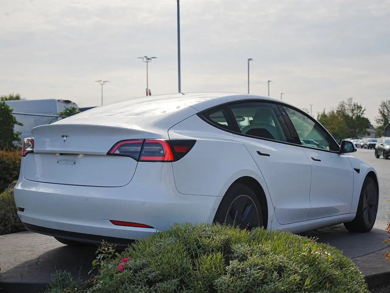 Tesla Model 3 - Image 7