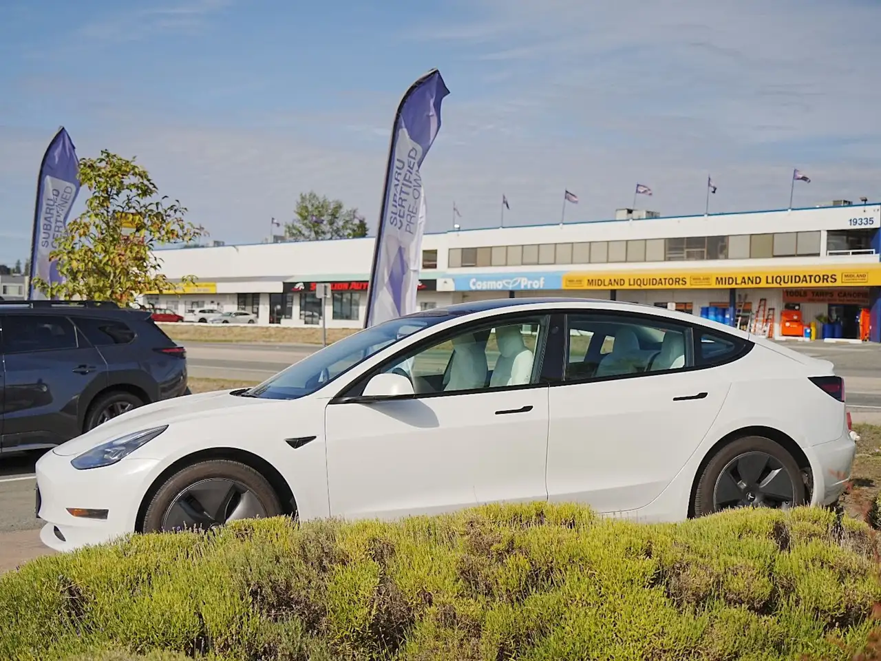 Tesla Model 3 - Image 4