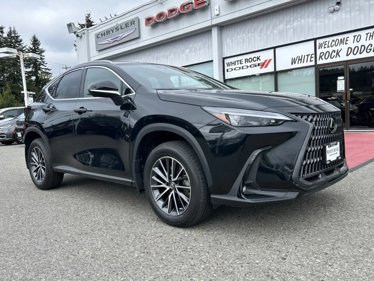 Lexus NX - Image 6