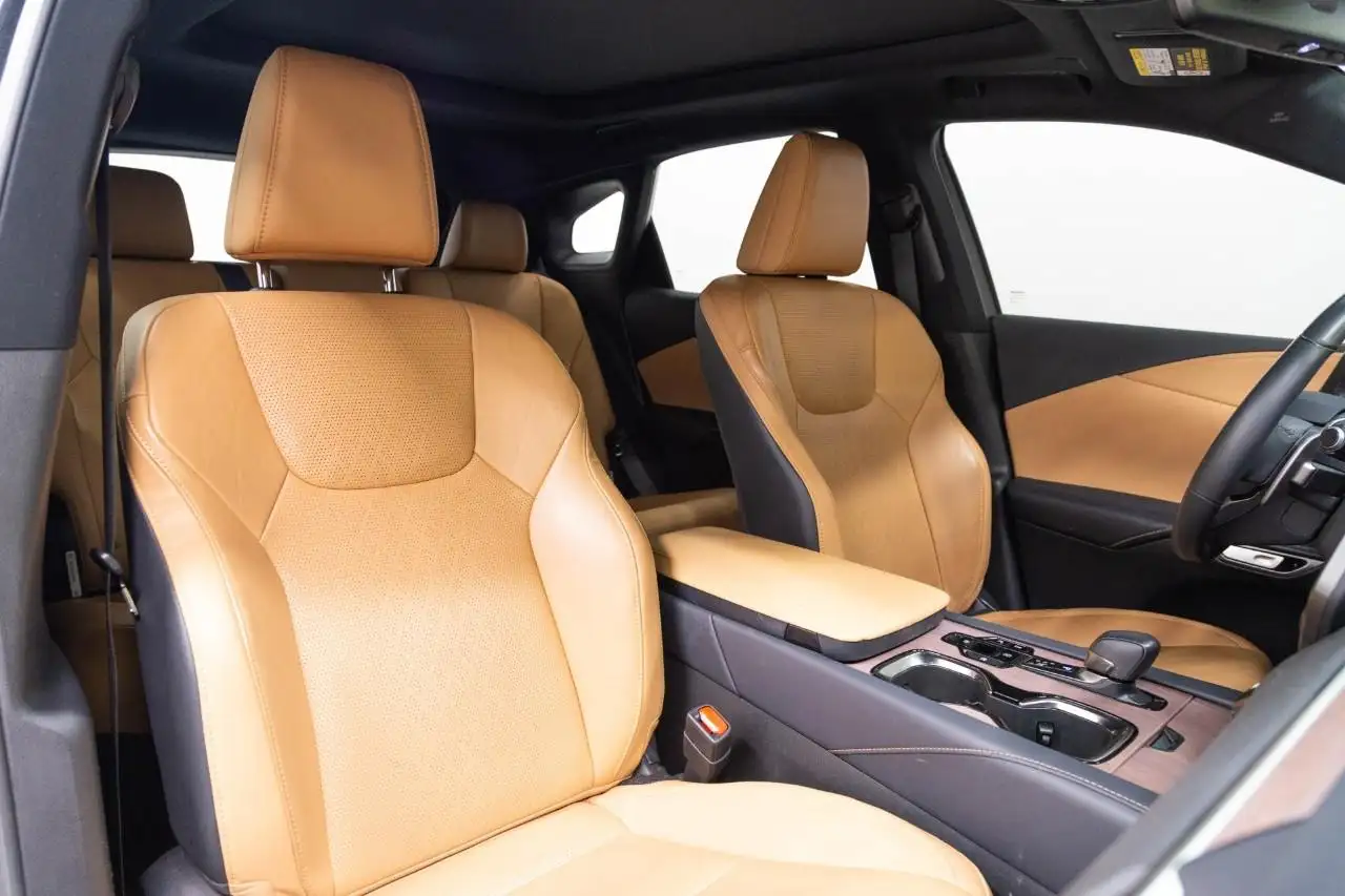 Lexus RX 350h - Image 19