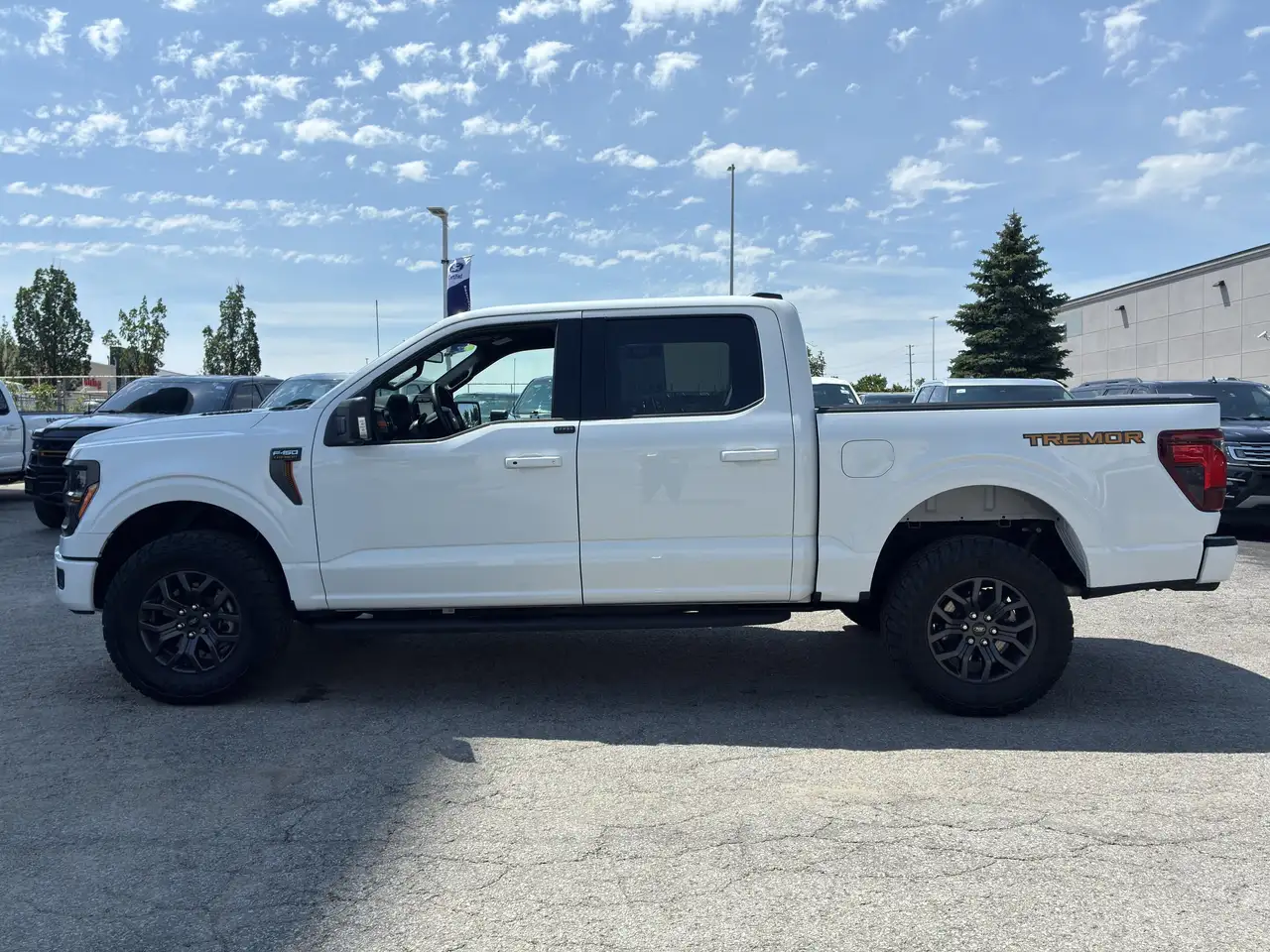 Ford F-150 - Image 5