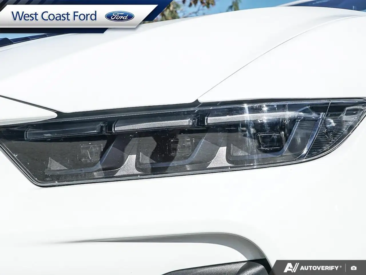 Ford Mustang - Image 10