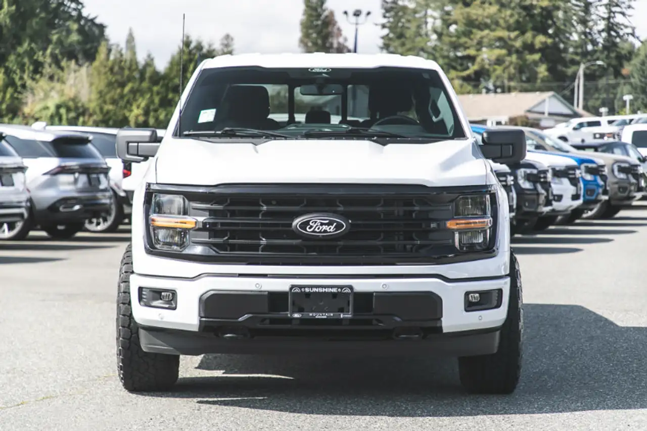 Ford F-150 - Image 2