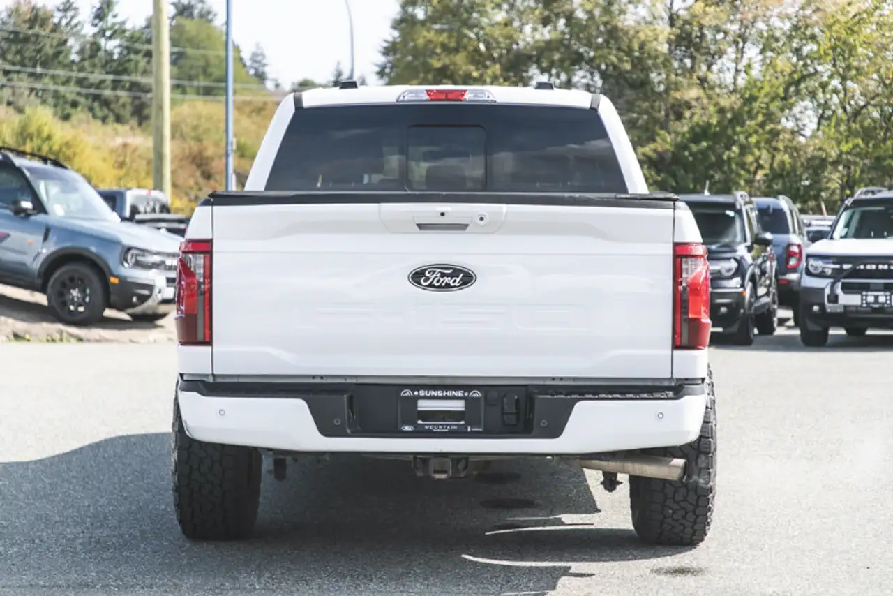 Ford F-150 - Image 10
