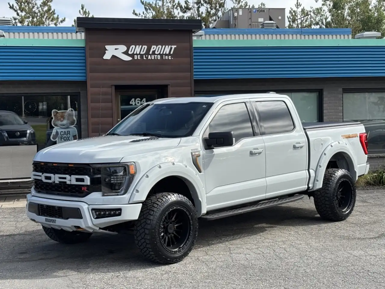 Ford F-150 - Image 6