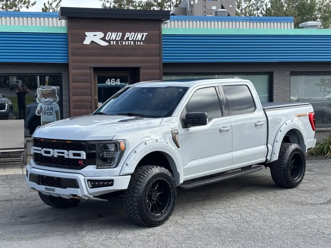 Ford F-150 - Image 29