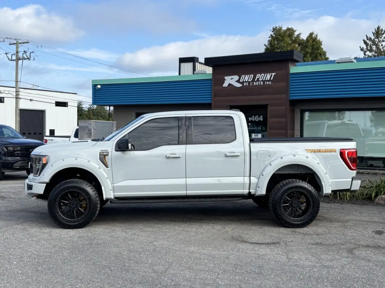 Ford F-150 - Image 32