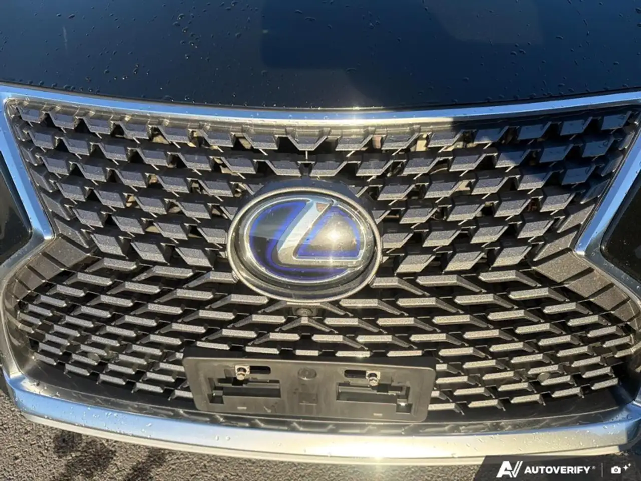 Lexus RX - Image 12