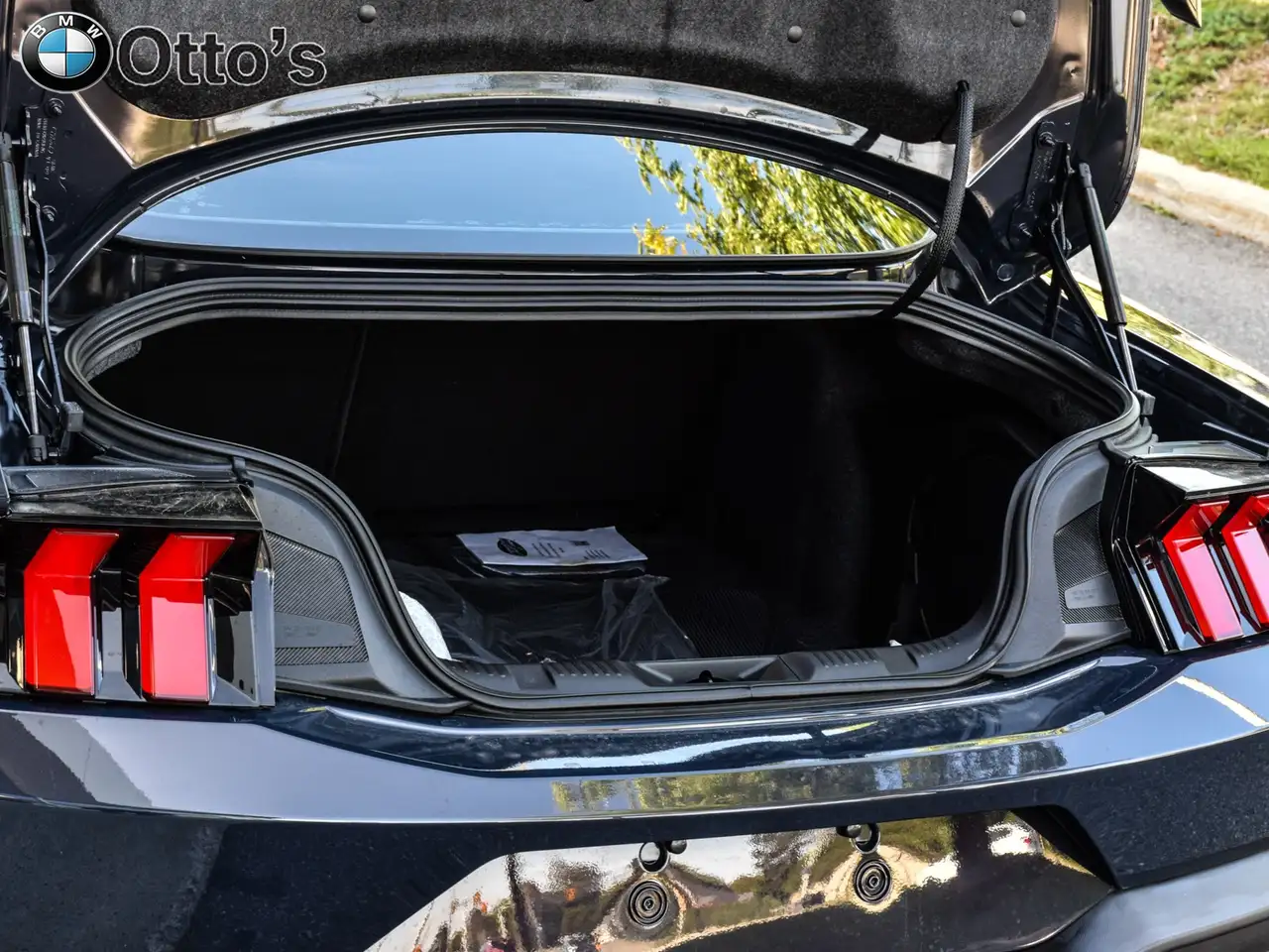 Ford Mustang - Image 32