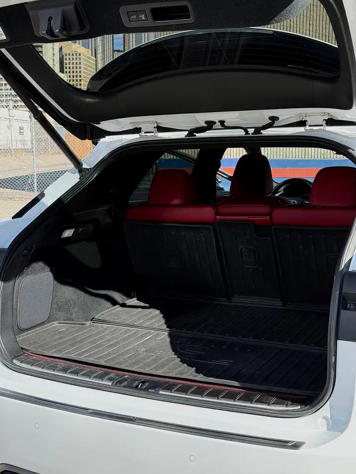 Lexus RX - Image 14